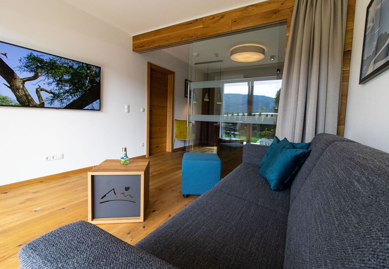 Appartement in Mariapfarr - Apartment OMEGA with one bedroom 