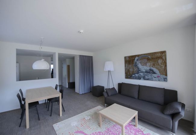 Appartement in Rohrmoos-Untertal - appartement met 3 slaapkamers & wellnesscentrum