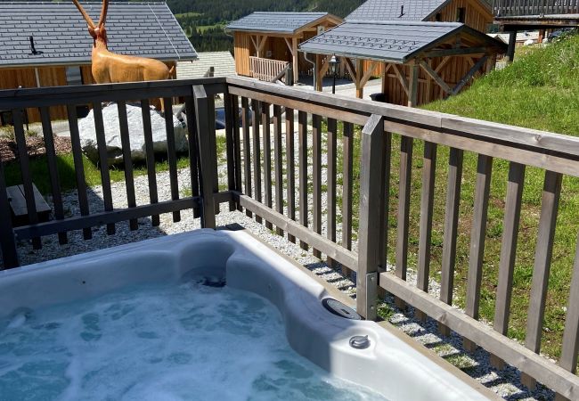 Huis in Hohentauern - Premium vakantiehuis # 58 met sauna & whirlpool