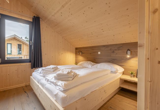 Huis in Hohentauern - Premium vakantiehuis # 62 met sauna & whirlpool
